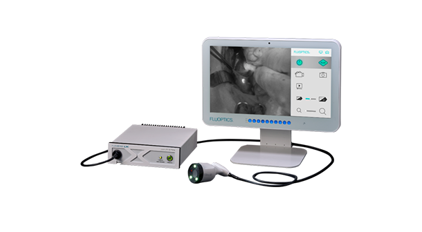 Foto: FLUOBEAM® LX