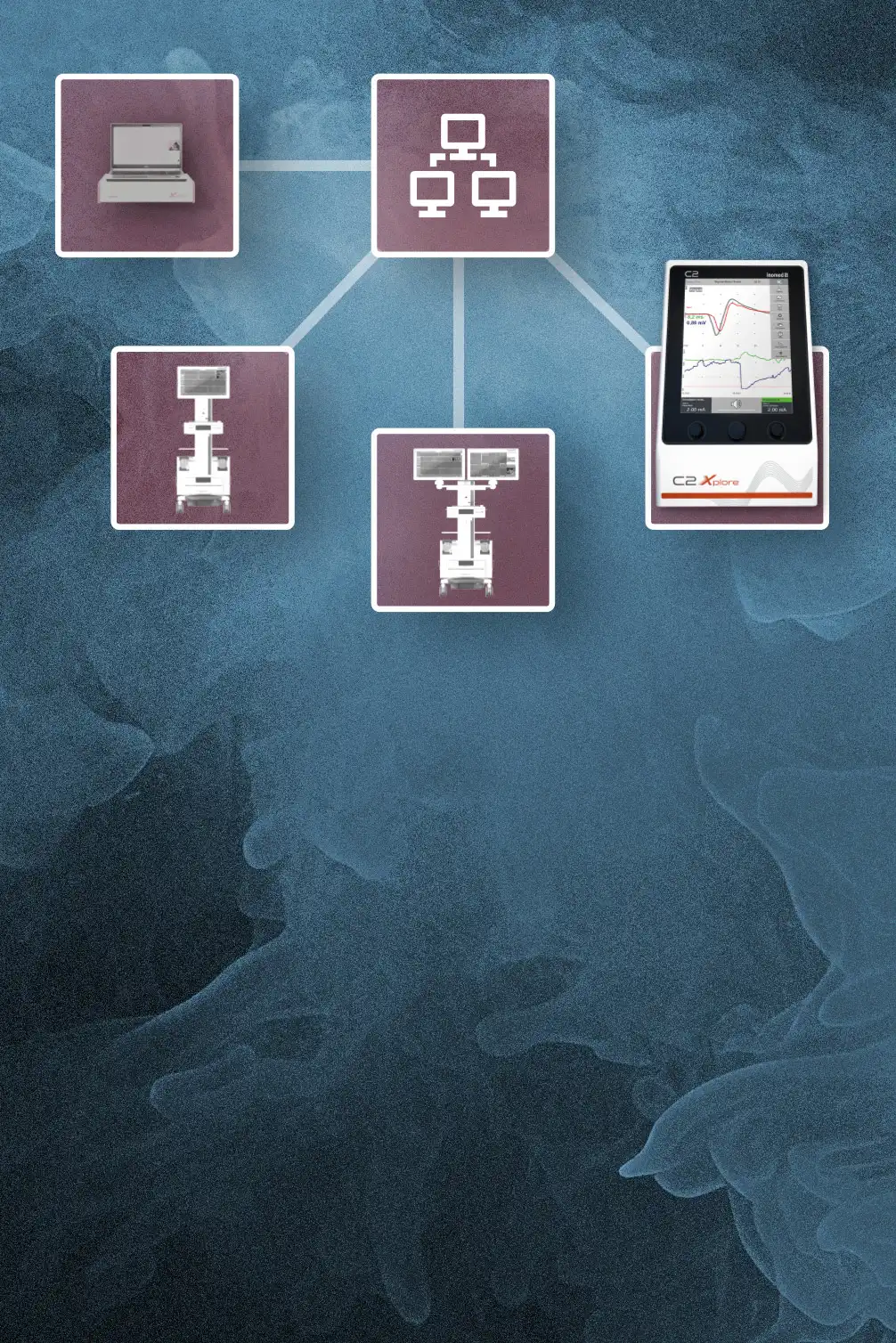 Digital interconnection and facilitated data transport