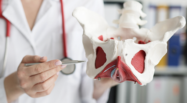 Pelvines Neuromonitoring Link: Literaturseite inomed