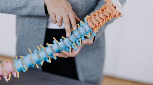 Link: Schulung von ARKANA