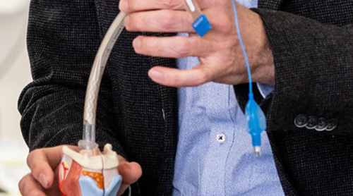 Link: Schulung von ARKANA