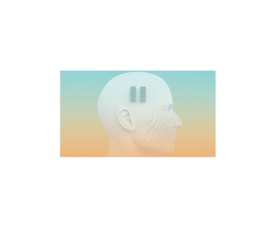 Link: external congress website of the organiser